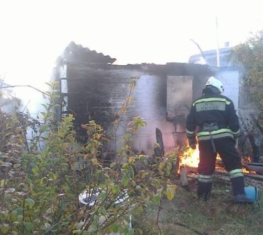 Пожар в Рамонском районе